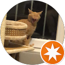 Felipe Essa profile picture